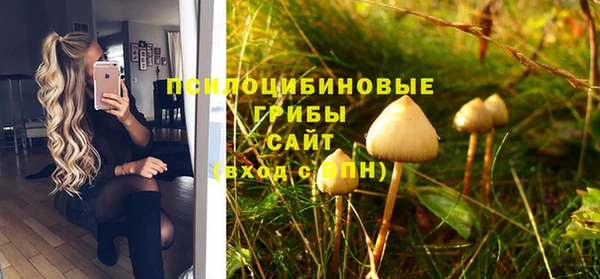 винт Алзамай