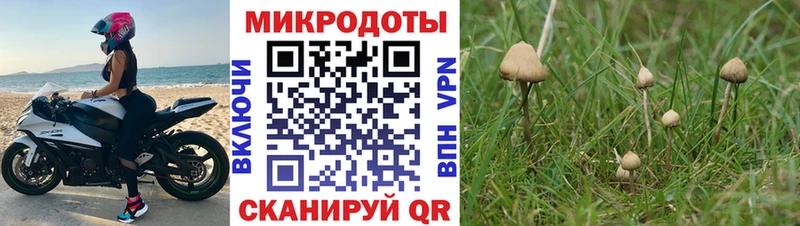 mega зеркало  наркошоп  Болхов  Псилоцибиновые грибы MAGIC MUSHROOMS 